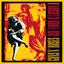 Use Your Illusion I album artwork