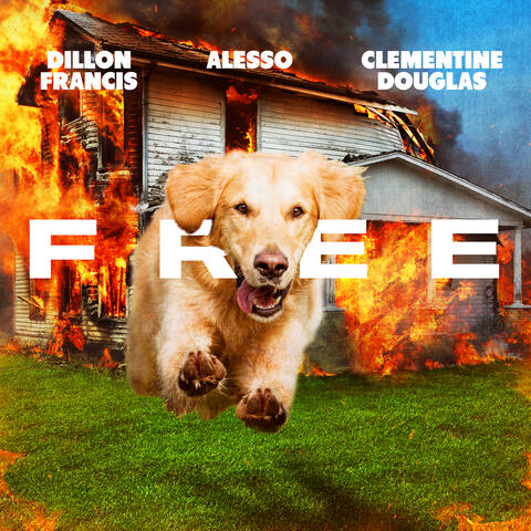 Free album art