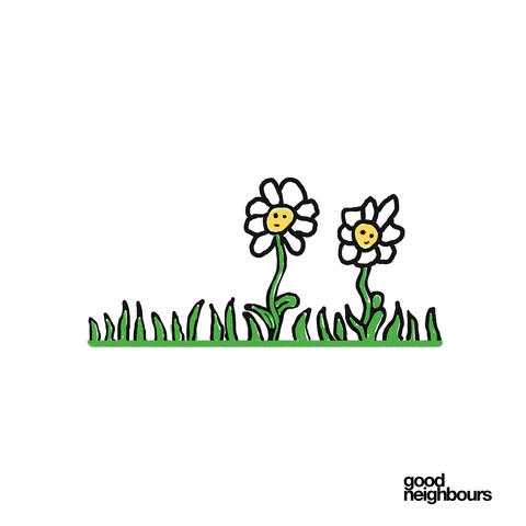 Daisies album art