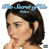 Image of The Secret of Us