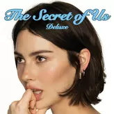 Image of The Secret of Us