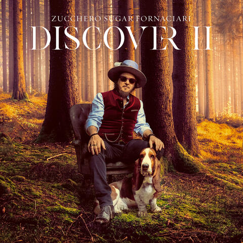 DISCOVER II album art