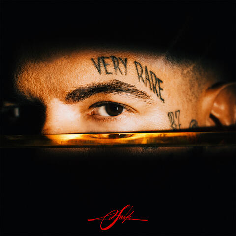 VERY RARE album art