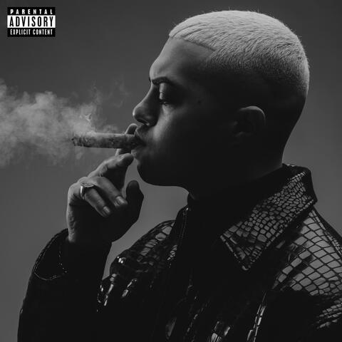 RAP FACTS album art