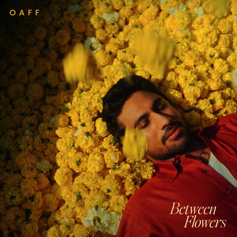 Between Flowers album art
