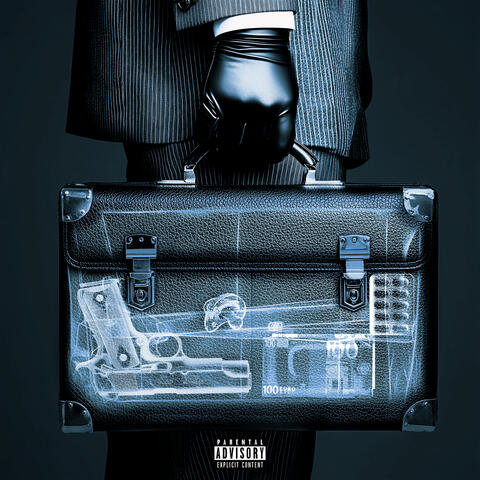 BIRKIN album art