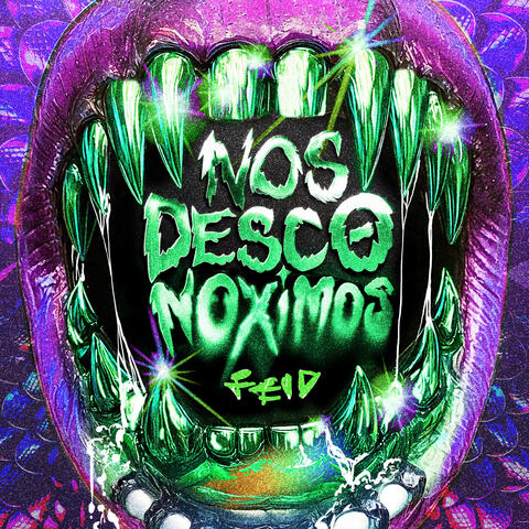 NOS DESCONOXIMOS album art