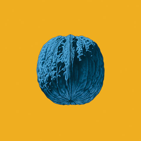 L'Albero Delle Noci album art