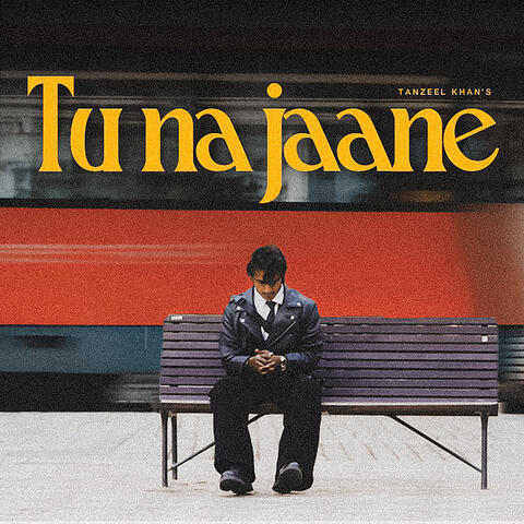 Tu Na Jaane album art