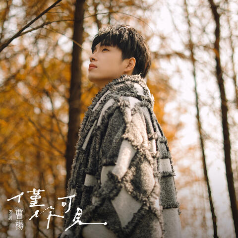 僅你可見 album art