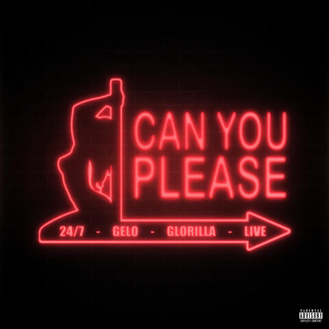 Can You Please album art
