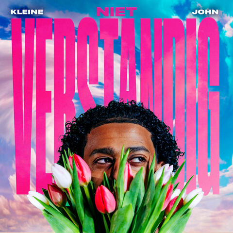 Niet Verstandig album art