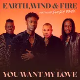 Image of You Want My Love