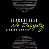 Image of No Diggity
