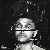 Image of Beauty Behind The Madness