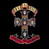 Image of Appetite For Destruction