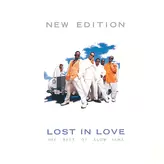 Image of Lost In Love: The Best Of Slow Jams