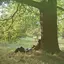 Plastic Ono Band album artwork