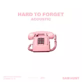 Image of Hard To Forget