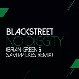 Image of No Diggity