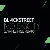 Image of No Diggity