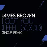 Image of I Got You (I Feel Good)