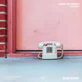 Image of Hard To Forget