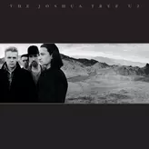 Image of The Joshua Tree