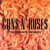 Image of The Spaghetti Incident?