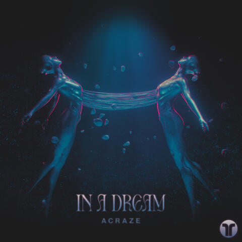 In A Dream album art
