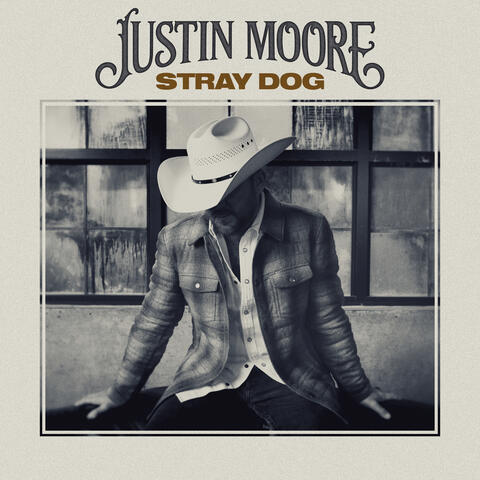 Stray Dog album art