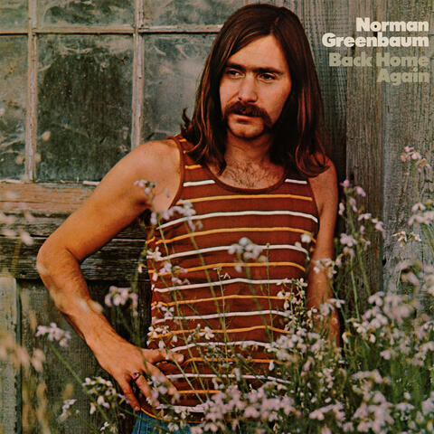 Back Home Again album art