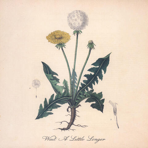 Wait A Little Longer album art