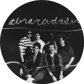 Image of Steve Miller Band