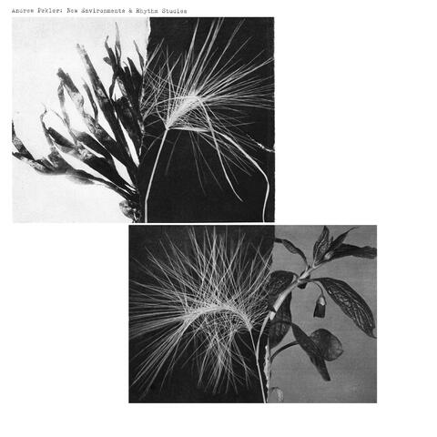 Fabulation For K album art