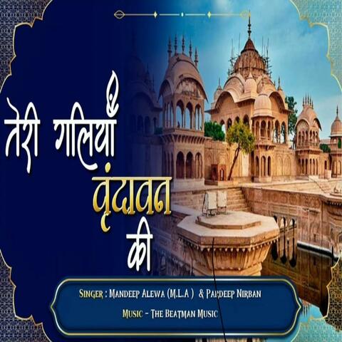 Teri Galiyan Vrindavan Ki album art