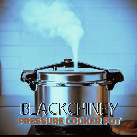 Pressure Cooker Pot album art