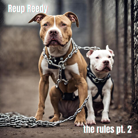 The Rules Pt. 2 album art