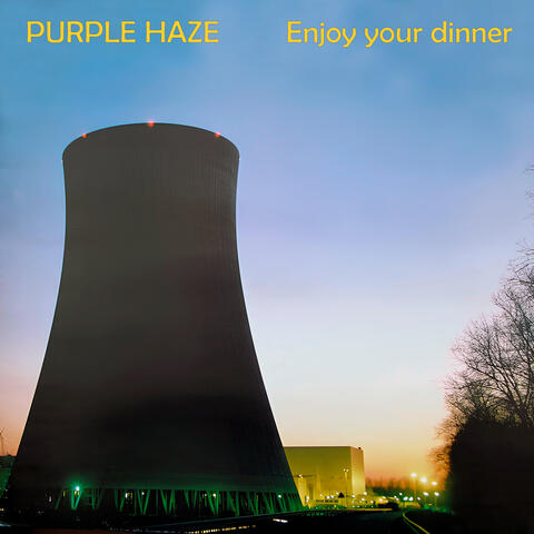 Enjoy Your Dinner album art