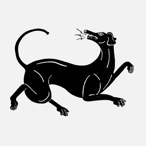 BLACK DOG / WHITE HORSE album art