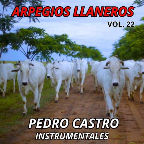 Arpegios Llaneros, Vol. 22 album art