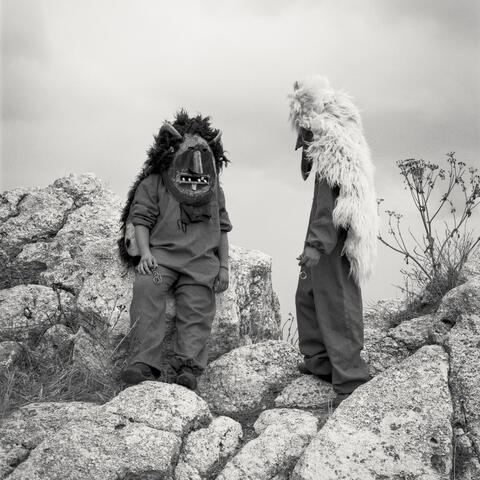 The Haar album art