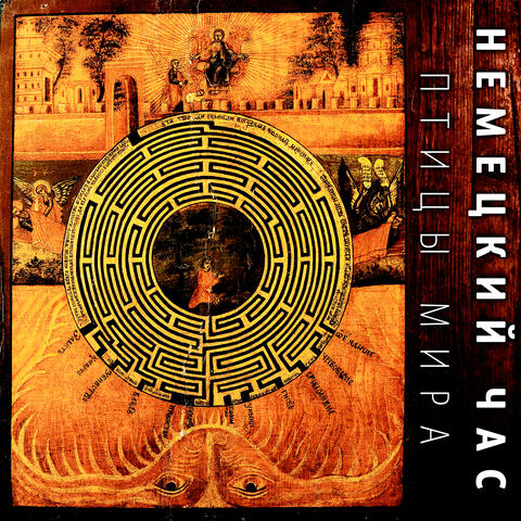 Птицы мира album art