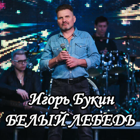Неваляшка album art