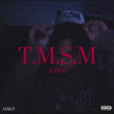 T.M.S.M album art