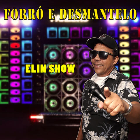 Forró e Desmantelo album art