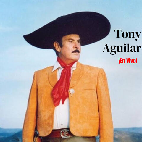 Un Puño de Tierra / Una Aventura / Triste Recuerdo / Una Página Más / Camino de Guanajuato album art