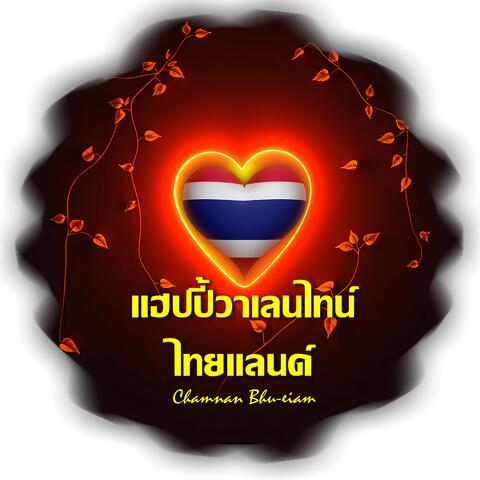 แฮปปี้วาเลนไทน์ ไทยแลนด์ album art