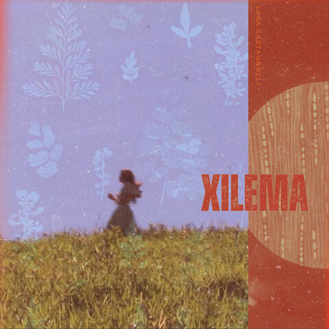 Xilema album art