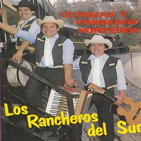 Cumbias Corridos Norteños album art